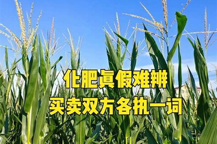 茂施力玉米控释肥是真的吗