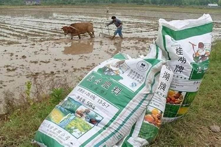 钙肥是什么肥料