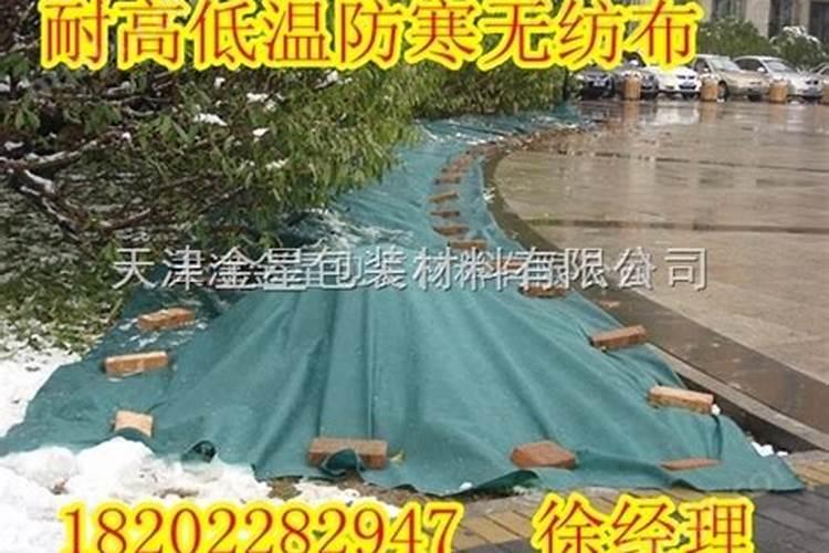 兰花冬天施什么肥最好