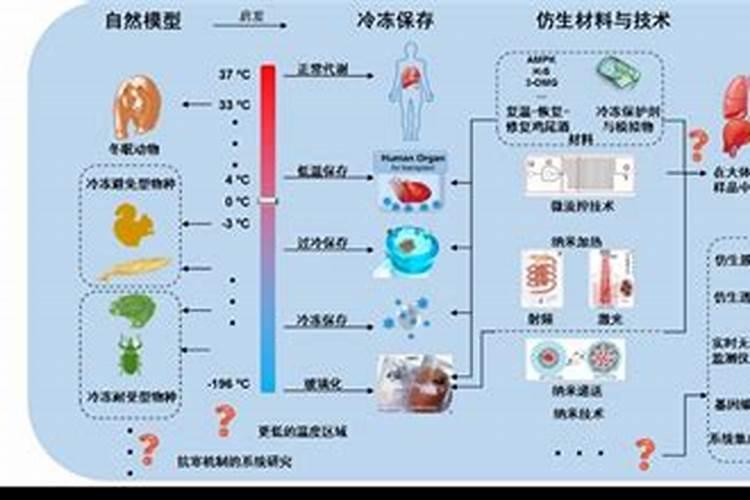 鱼为什么冬天冻不死？