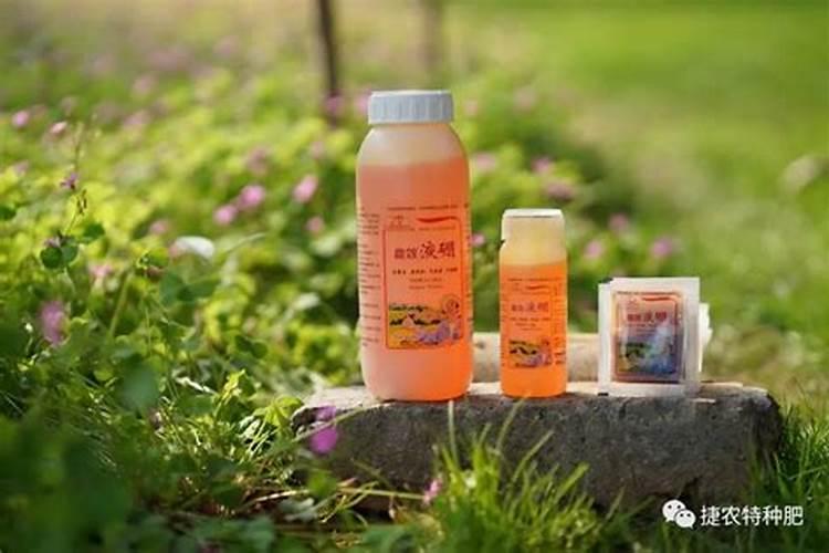 苹果树补钙的叶面肥有哪些
