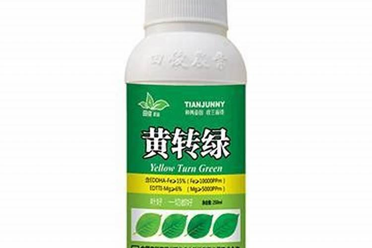 四年的猕猴桃树势弱用什么让树长旺？