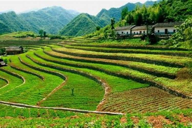 东北盐碱地土壤如何改良