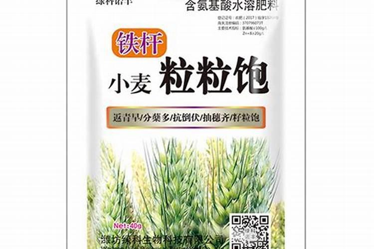 小麦拔节期飞防用多少氨基酸叶面肥
