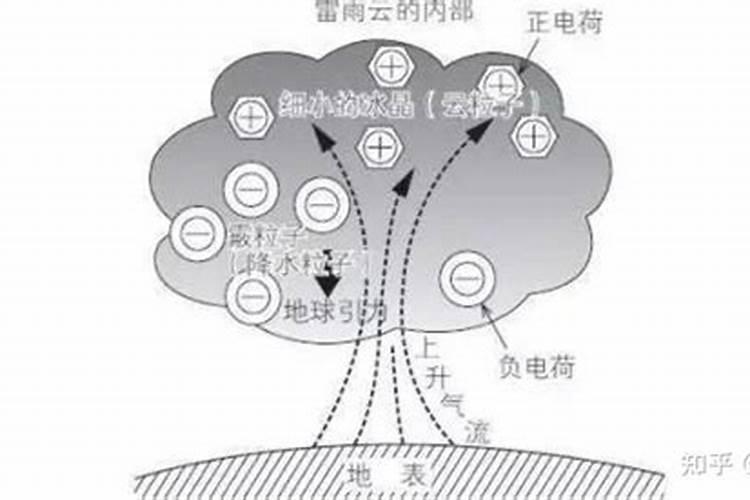 晴天和雨天啥时候施肥效果好？知道真相的后惊呆了