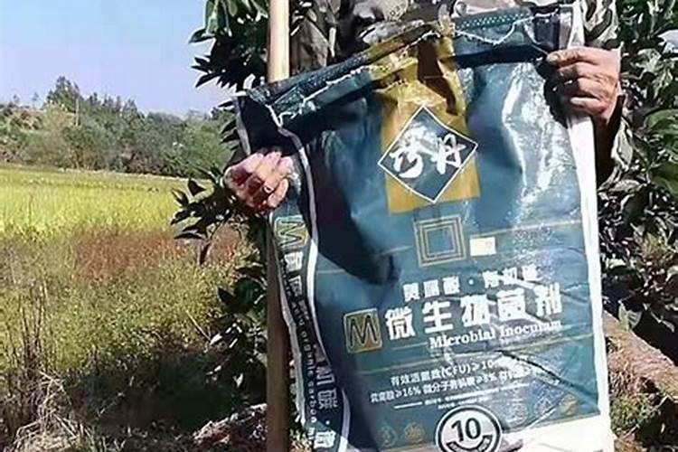 葡萄土地磷肥施多了怎么办