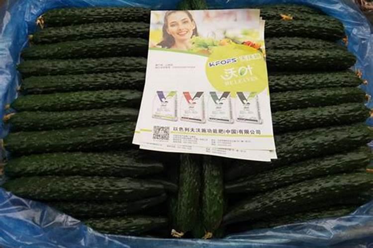 黄瓜瓜打顶,用高氮肥和高磷肥哪个出头快？