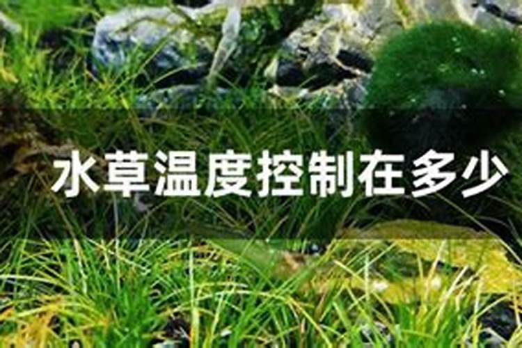 鱼塘用复合肥肥水一次用多少