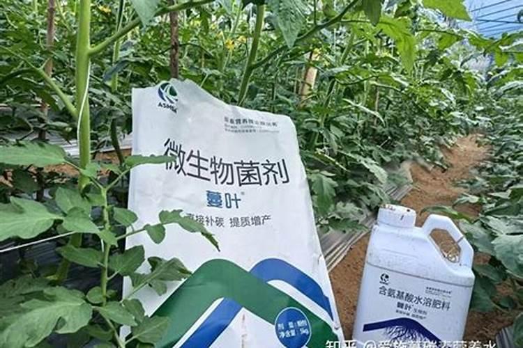 冲施肥怎么用