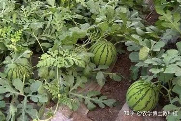 复合肥是用什么原料做成的