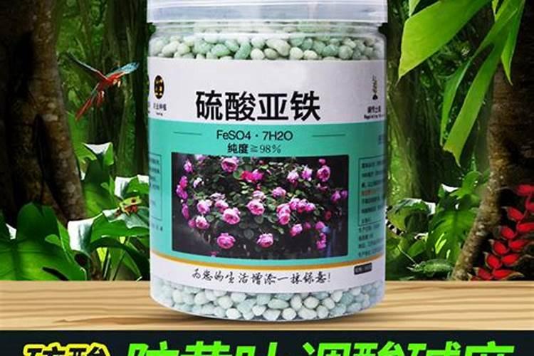 小麦要想高产应该如何正确浇水 小麦浇水技巧