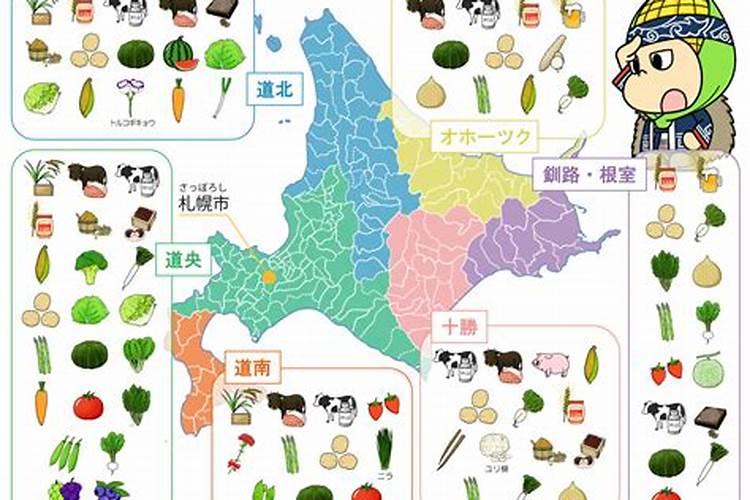 北海道黄杨怎么养护？