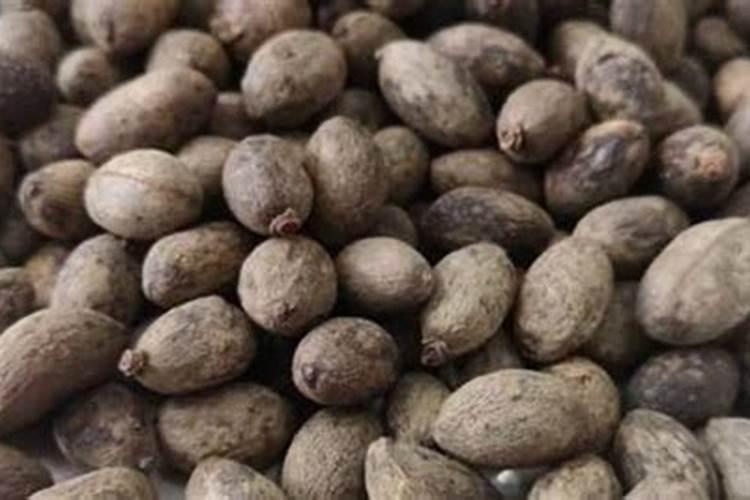 宝宝食欲不振是缺锌导致的吗？怎样补锌比较好？