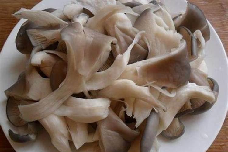 种平菇产量高的配方