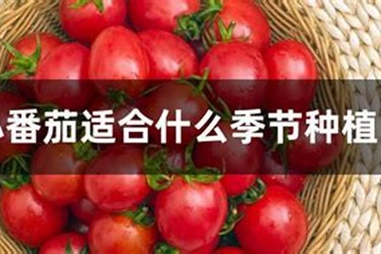 中年人容易钙流失,那该如何预防呢？