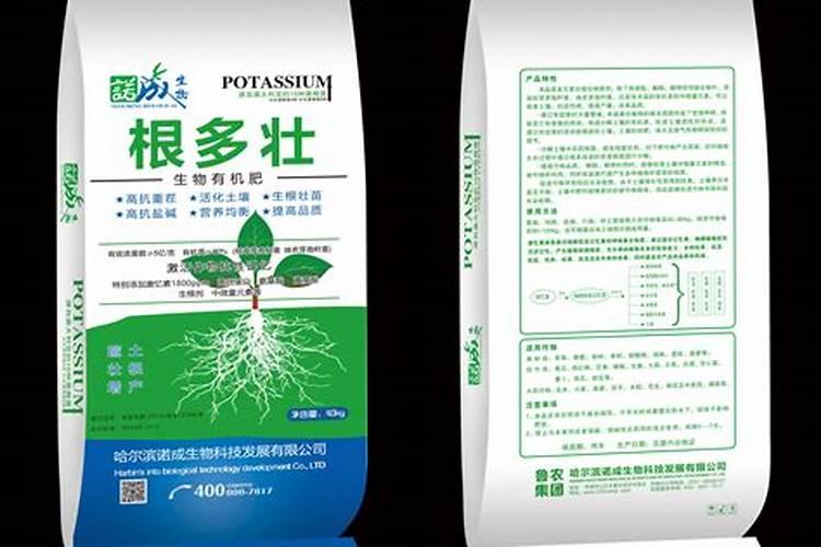 黄色烂根的根尖长白色嫩尖是不是说明已经缓过来了？