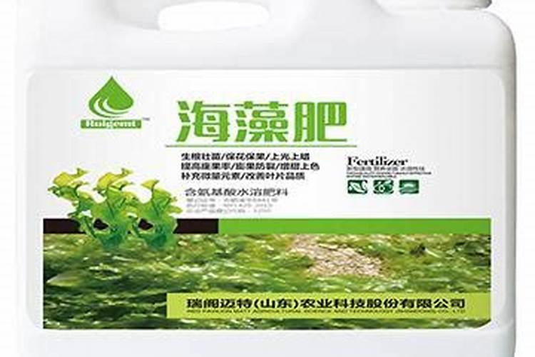 最好海藻肥？