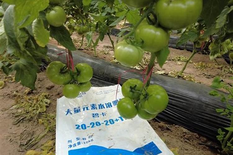 水溶肥的配方和制作方法