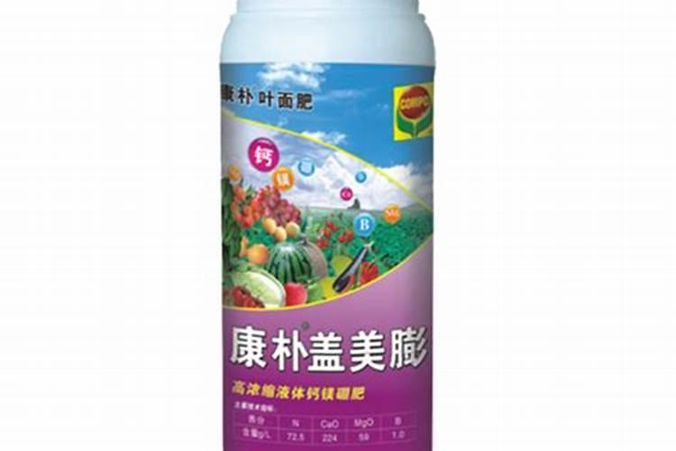 种植沙糖桔南丰蜜桔马水桔和金桔用什么叶面肥好