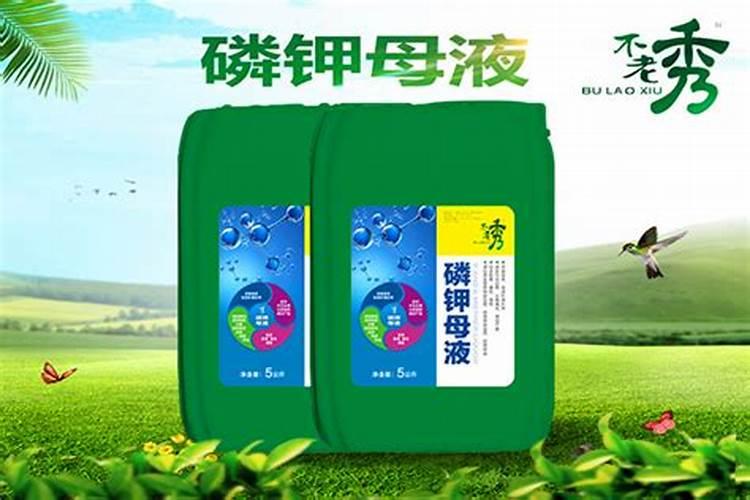 马尼拉草皮施什么肥生长快
