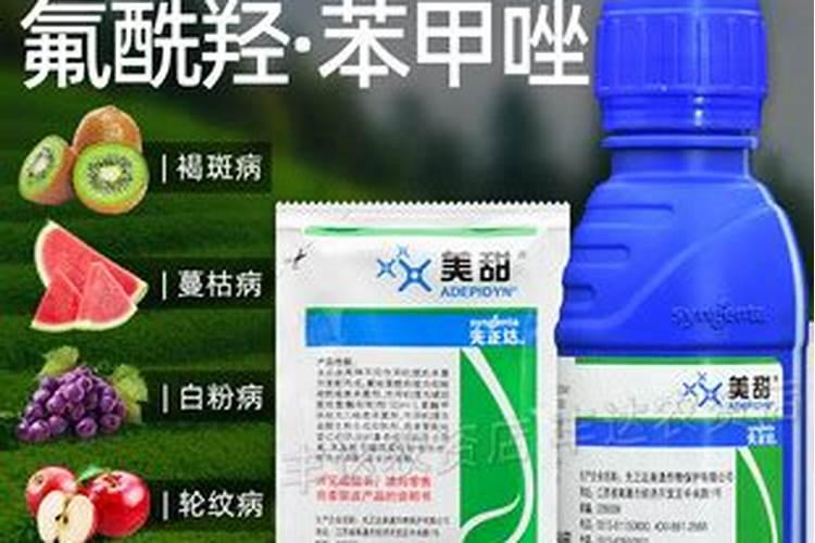 桃树过冬水什么时间浇