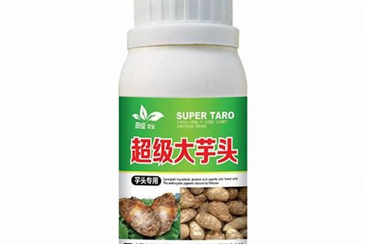 芋头什么时候施肥能高产量(芋头使用肥料名称及施肥时间)