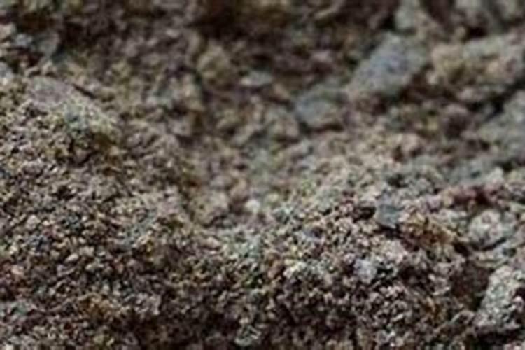 芝麻饼肥的正确使用方法