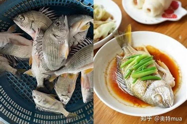 湛江海鲜推荐,湛江旅游海鲜推荐