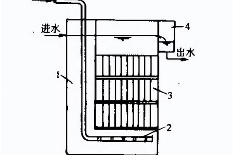杀蓝藻为什么夜间杀 如何处理比较好