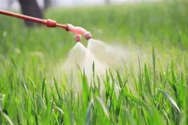 苹果树秋季施什么肥料