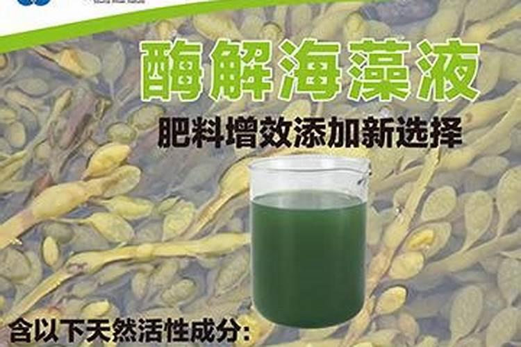 吃什么补肽？哪些食物中肽元素含量比较高？谢谢了!增强免疫力的!百度知 ...