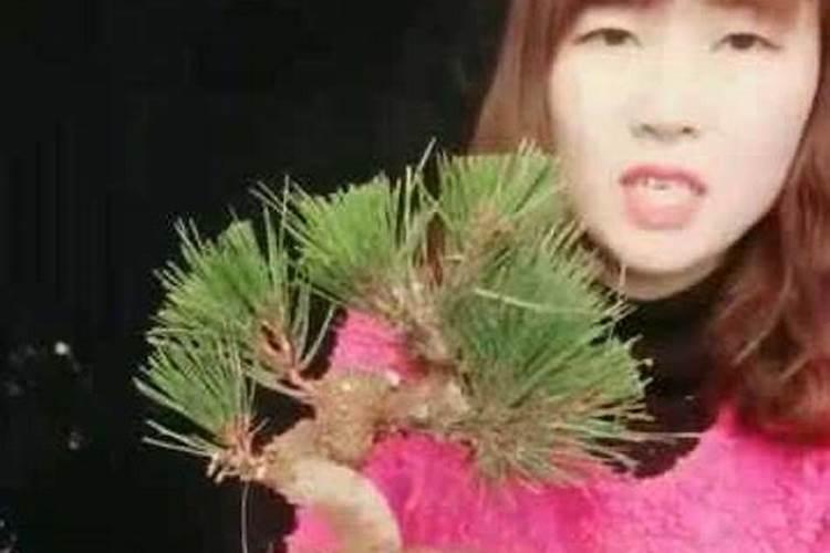 兰花东方神荷几月开花？