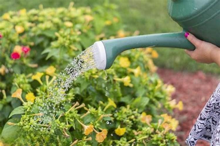 当燕麦片过期后,都有哪些可以用得上的地方？