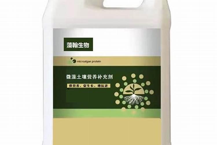 碳酶海藻鱼蛋白什么时候使用最好