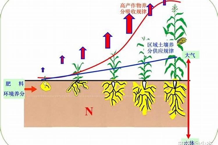 氮肥是什么肥料