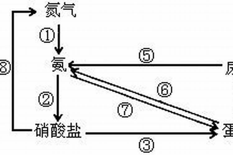 哪些植物可用氮肥
