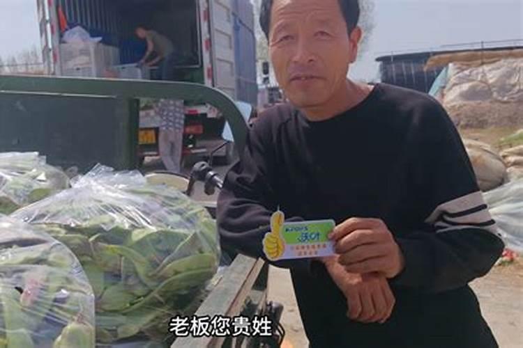 姑娘果的栽培技术