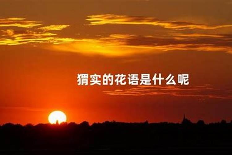 水溶肥好还是复合肥好