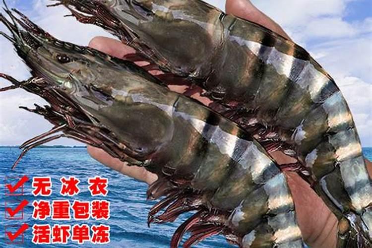 兰花叶子从中间折断是怎么回事？
