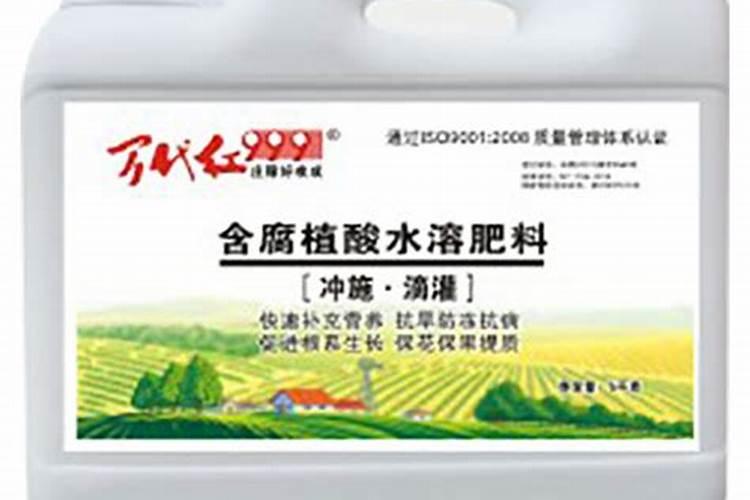 水稻第二次农药什么时候打？