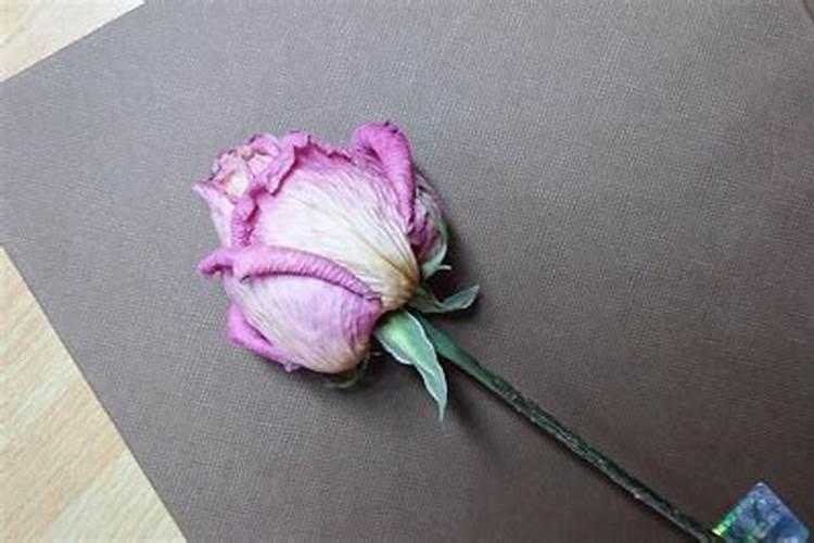 如何用花瓣制香