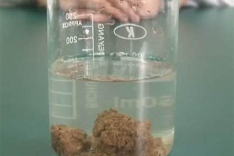 水溶肥是什么肥料 水溶性肥料的优缺点有哪些