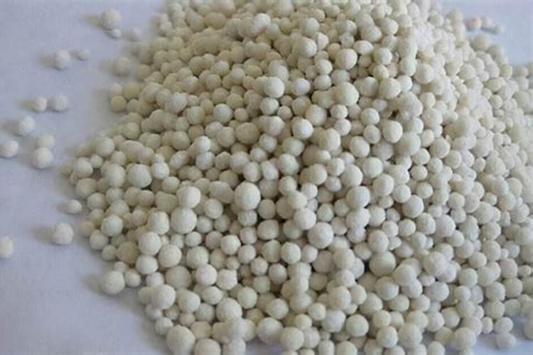 花草几月份施肥最好