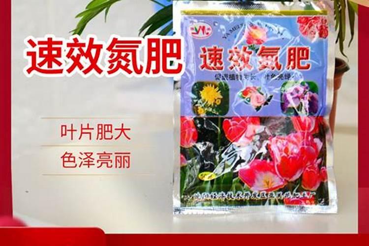 怎么给花补氮肥