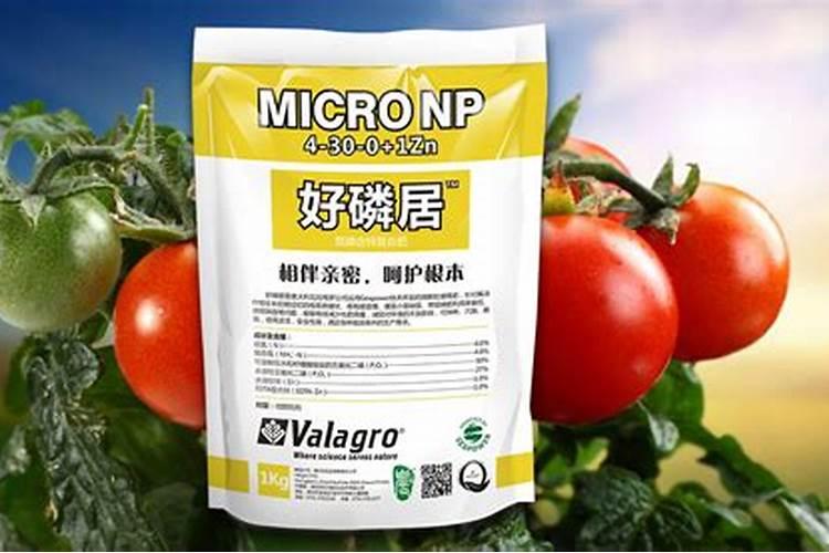 磷肥在水旱轮作下怎样施肥