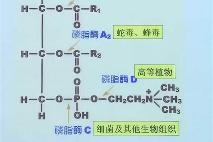 【化工原料知识】化工原料有哪些 化工原料的作用是什么
