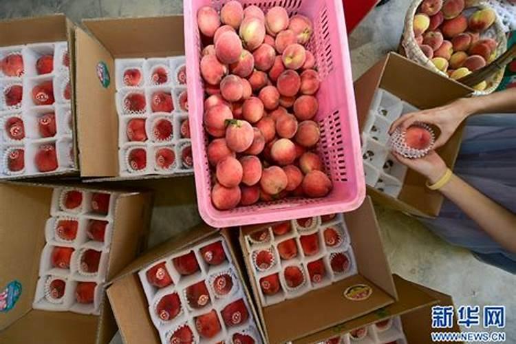 桃子为了增加甜度,施什么肥？