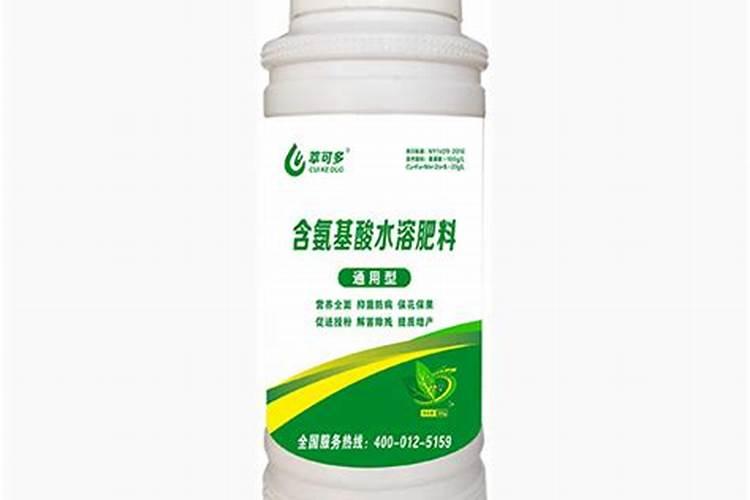 种菜底肥怎样施