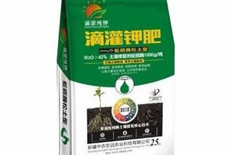 在阳台种菜最好的是用什么肥料 5种超简单好用的肥料方法