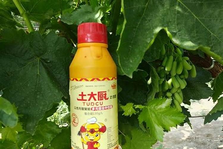 压差式施肥罐是怎么工作的？